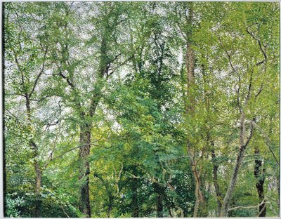 Jubilejní plantáž od William Wilkins