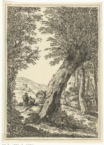 Vrba od William Young Ottley