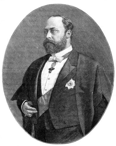 Princ z Walesu ve svém rouchu jako Bencher of the Middle Temple, 1900. od William and Daniel Downey