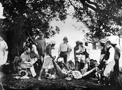Stahování tygra z kůže, c.1870 od Willoughby Wallace Hooper