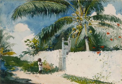 Zahrada v Nassau od Winslow Homer