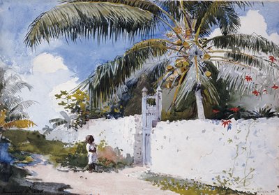 Zahrada v Nassau, 1885 od Winslow Homer