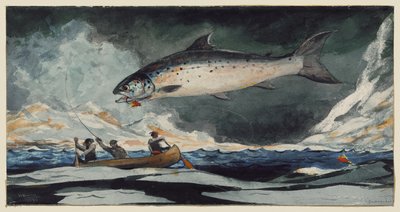 Krásný bazén, řeka Saguenay od Winslow Homer