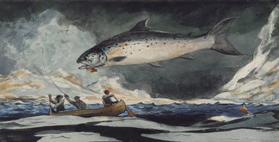 Dobrý bazén, řeka Saguenay, 1895 od Winslow Homer