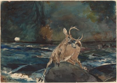 Dobrá trefa, Adirondacks od Winslow Homer