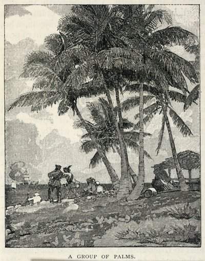 Skupina palem, z časopisu The Century Magazine, únor 1887 od Winslow Homer