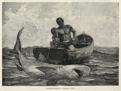 Podomní obchodník, brána Nassau, lov žraloků - bar Nassau, z časopisu The Century, únor 1887 od Winslow Homer