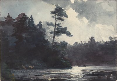 Jezero Adirondack od Winslow Homer