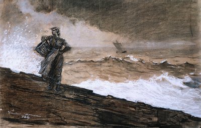 Na volném moři, 1884 od Winslow Homer