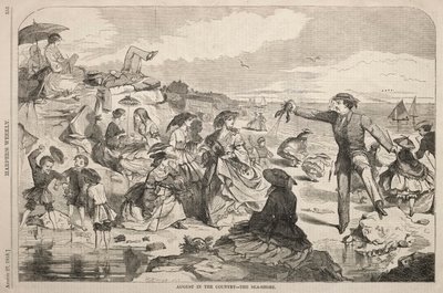 Srpen na venkově - pobřeží od Winslow Homer
