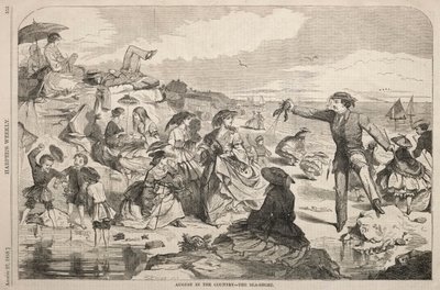Srpen na venkově - Pobřeží, 1859. od Winslow Homer