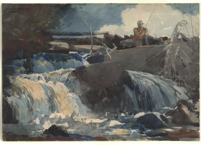 Casting ve vodopádech od Winslow Homer