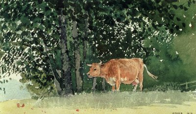 Kráva na pastvě, 1878 od Winslow Homer