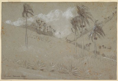 Kresba, Kubánské úbočí, 1885 od Winslow Homer