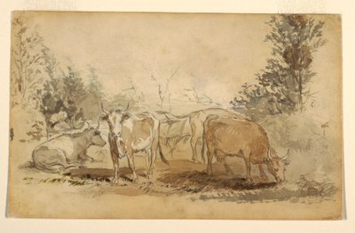 Kresba, Čtyři krávy pasoucí se na pastvině, asi 1855-60 od Winslow Homer