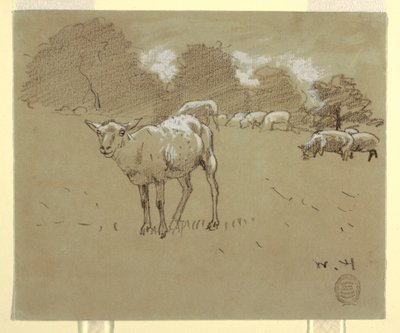 Kresba, Ovce pasoucí se na poli, asi 1875-78 od Winslow Homer