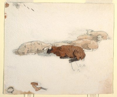 Kresba, Odpočívající ovce, 1878 od Winslow Homer