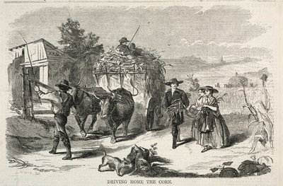 Odvoz kukuřice domů od Winslow Homer