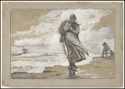 Fisher Girl with Net, 1882 od Winslow Homer
