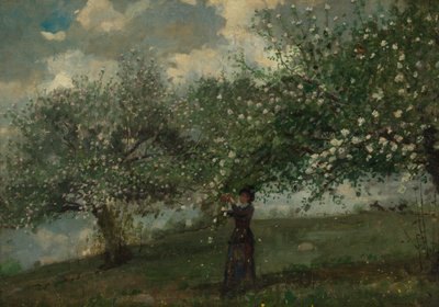 Dívka Sbírá Jabloňové Květy od Winslow Homer