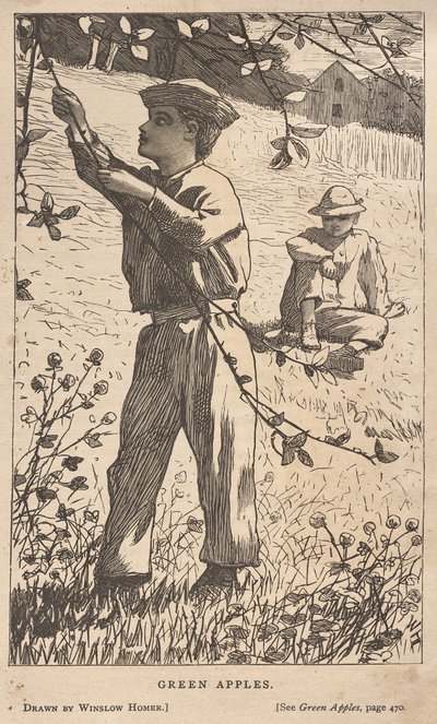 Zelená jablka od Winslow Homer