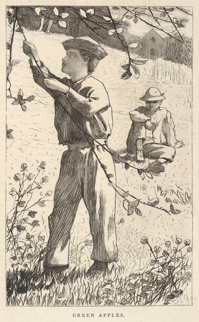 Zelená jablka, z časopisu Our Young Folks, srpen 1868 od Winslow Homer