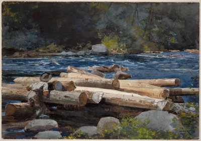 Řeka Hudson od Winslow Homer