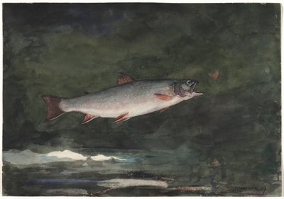 Pstruh skákavý, 1889. od Winslow Homer