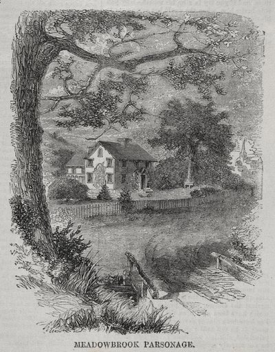 Fara v Meadowbrooku od Winslow Homer