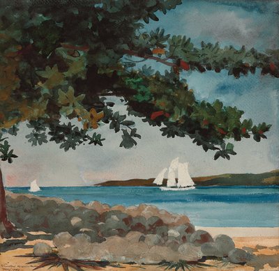 Nassau: Voda a plachetnice, 1899 od Winslow Homer