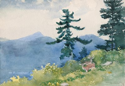 North Woods Club, Adirondacks (The Interrupted Tete-a-Tete) od Winslow Homer