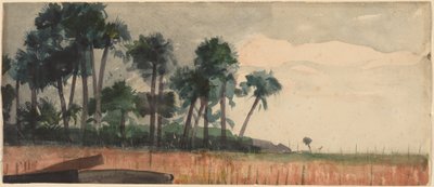 Palmy, červená od Winslow Homer