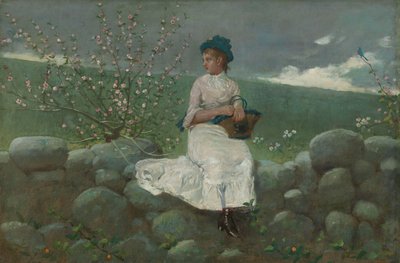 Květy broskve od Winslow Homer