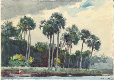 Červená košile, Homosassa, Florida, 1904. od Winslow Homer