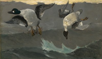 Vpravo vlevo od Winslow Homer