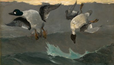 Pravá a levá od Winslow Homer