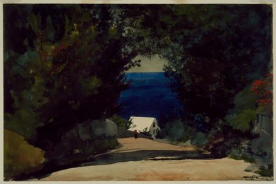 Silnice na Bermudách, asi 1899-1901 (akvarel na papíře) od Winslow Homer