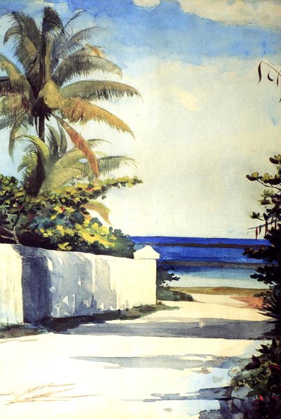Road v Nassau, 1898-99 od Winslow Homer