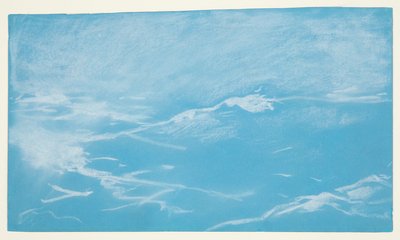 Racek a vlny od Winslow Homer