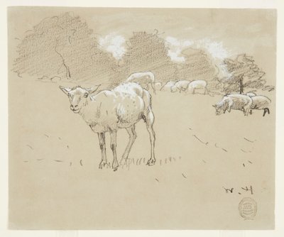 Ovce pasoucí se na poli od Winslow Homer