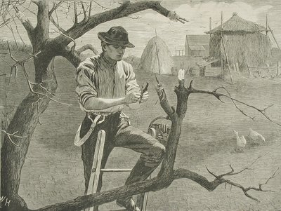  od Winslow Homer