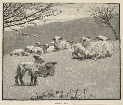  od Winslow Homer