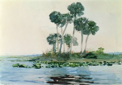 Řeka Svatého Jana, Florida, 1890 od Winslow Homer