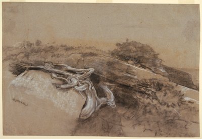 Studie kořenů stromů, Proutův krk, Maine od Winslow Homer