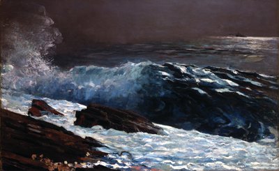 Sluneční světlo na pobřeží od Winslow Homer