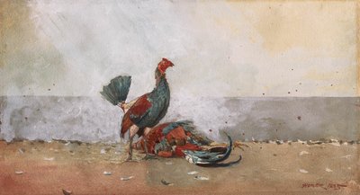Kohoutí souboj od Winslow Homer