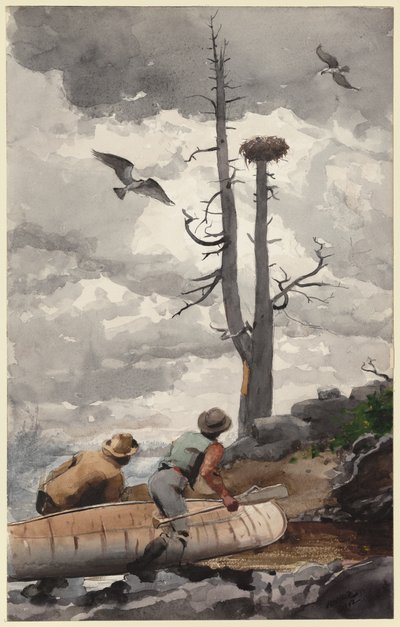 Orlí hnízdo od Winslow Homer
