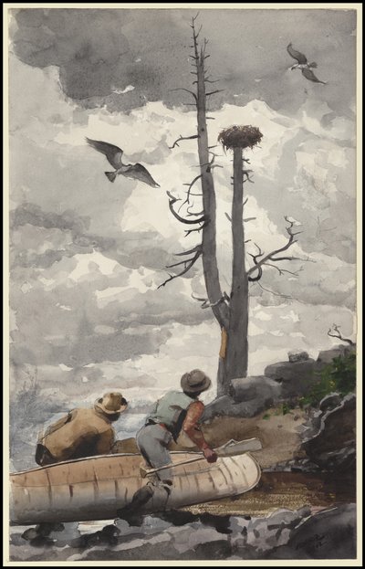 Orlí hnízdo, 1902 od Winslow Homer