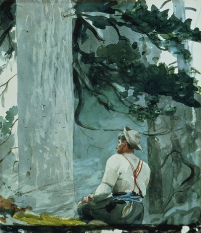 Průvodce, 1895 od Winslow Homer