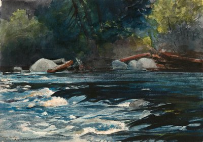 The Rapids, řeka Hudson, Adirondacks od Winslow Homer